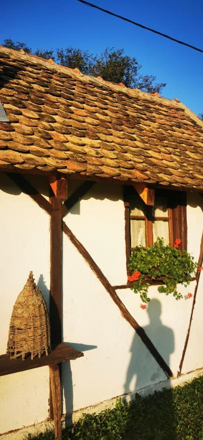 Etno Domacinstvo Miris Bosiljka Διαμέρισμα Mislodin Εξωτερικό φωτογραφία
